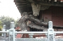 Wu Chan Gon Temple  Chi-Chi, Taiwan  Mw 7.7 earthquake  September 21, 1999  
